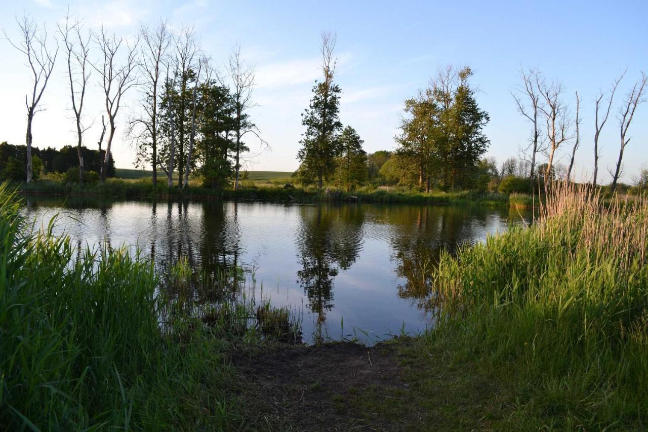 Ferienwohnung Am Peenetal Bentzin Bagian luar foto