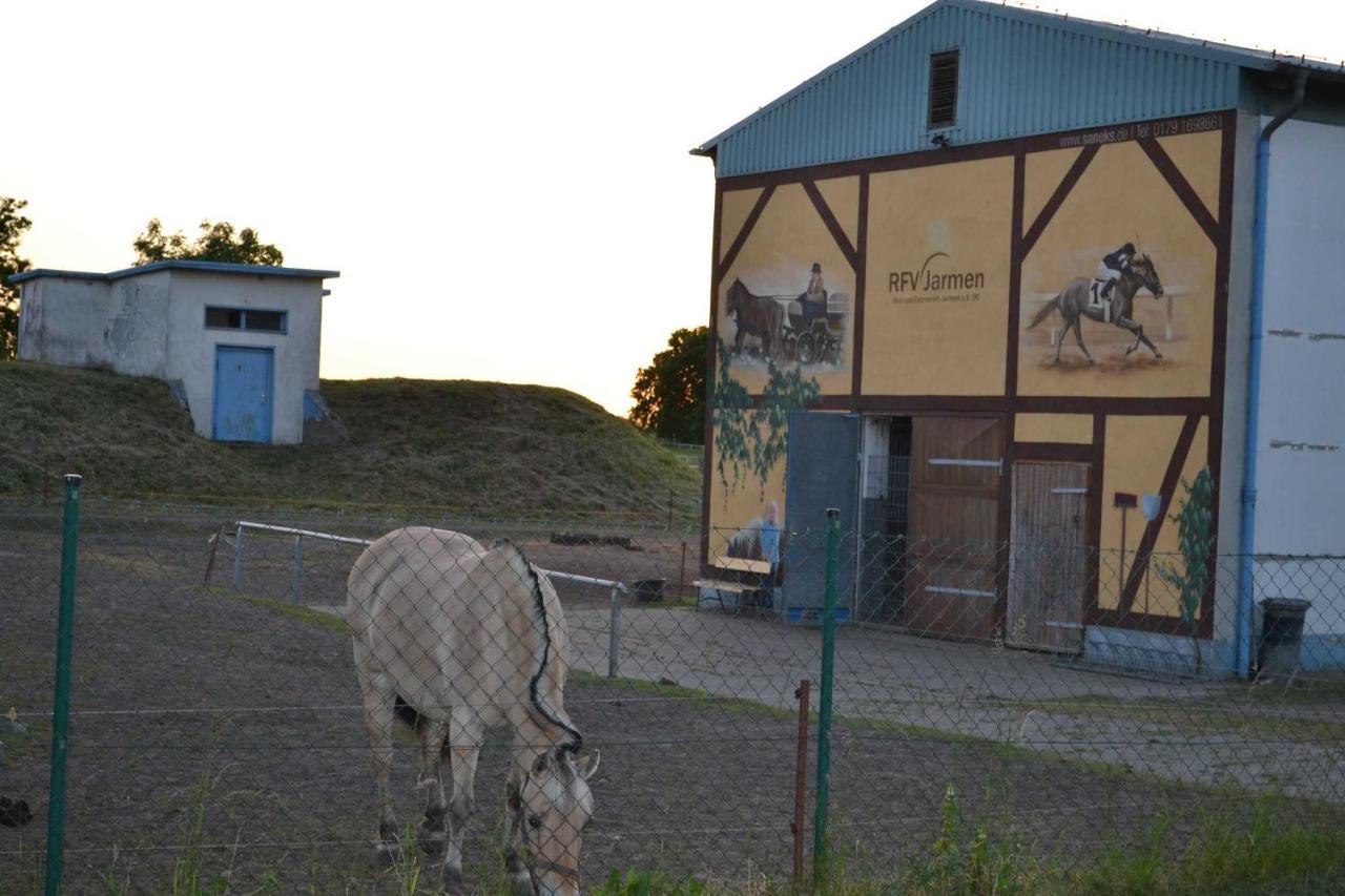 Ferienwohnung Am Peenetal Bentzin Bagian luar foto